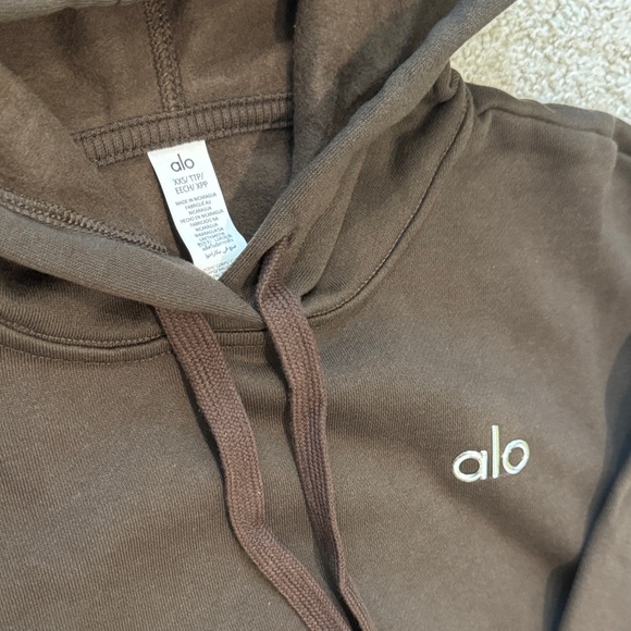 Alo Accolade Hoodie - Picture 5 of 10